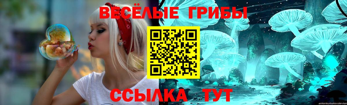 Псилоцибиновые грибы Psilocybine cubensis  Вход с VPN  Чебоксары 